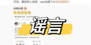 WPS和抖音豆包：我们没在AI上搞合作，文档也不是用来训练AI的缩略图