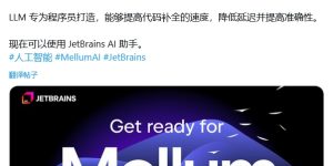 JetBrains 新出了个超给力的AI编程助手Mellum，快、准、狠！缩略图