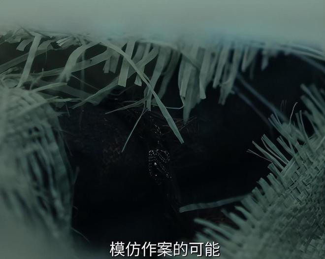 《风中的火焰》全集百度云网盘(HD-高清)【迅雷资源下载1280P】插图1