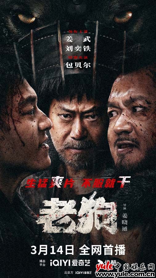 《老狗》百度云网盘资源下载[HD-MP4]国语[1080P]插图